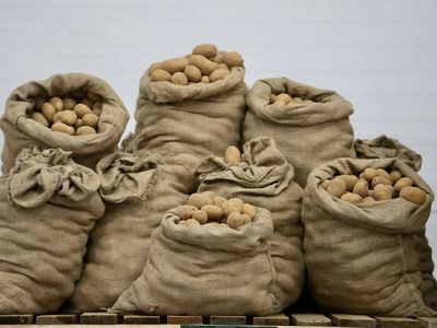 Более 280 тысяч тонн картофеля уже собрали в Подмосковье